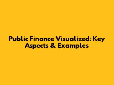 Public Finance Visualized: Key Aspects & Examples